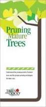 Brochure of pruning mature trees