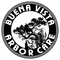 Buena Vista Arbor Care