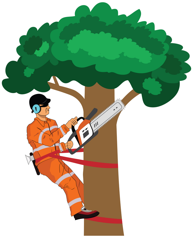 Lumberjack, arborist or wood cutter with high visibility vest, hard hat, ear plug as protection cuts a tree by chainsaw in vector illustration. Hard Working Wood Cutter sawing wood with chainsaw.
