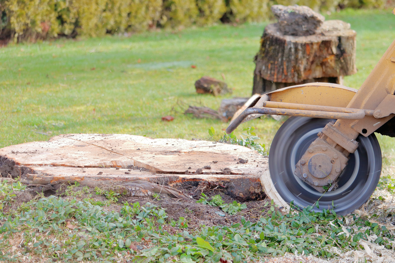 stump-grinder