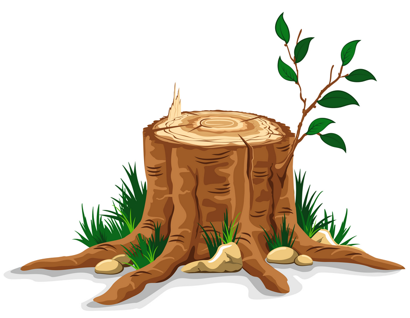 Young branch on the old tree stump. Detailed vector illustration.